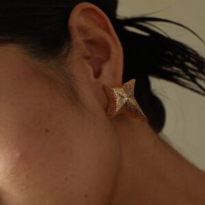 Star Hollow Out Earrings