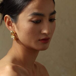 CZ Paved  Double Layered Hollow Out Earrings